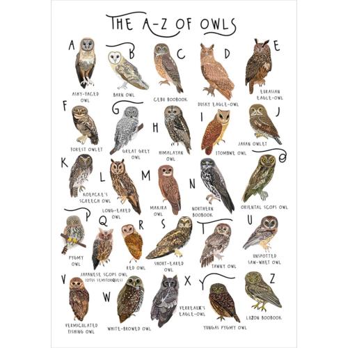 Greetings card "A-Z of Owls" 12x17cm