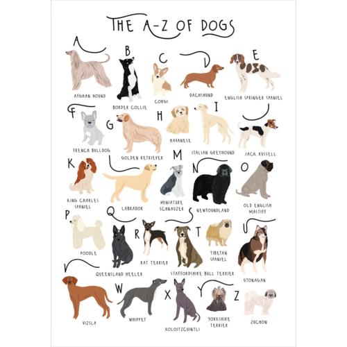 Greetings card "A-Z of Dogs" 12x17cm