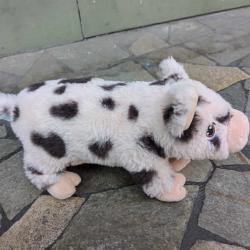 Spotty Pig - Eco Soft Toy