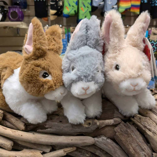 Eco Soft Toys