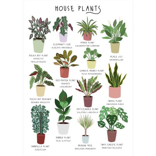 Greetings card "House Plants" 12x17cm