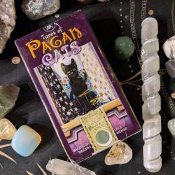 Tarot Cards – Pagan Cats