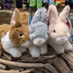 Rabbit - Eco Soft Toy